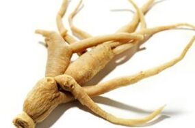 Ginseng root to increase potential